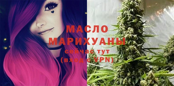 дмт Переславль-Залесский