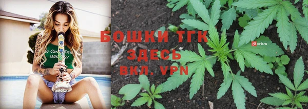 дмт Переславль-Залесский