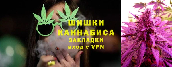 Альфа ПВП Пестово