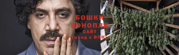 дмт Переславль-Залесский