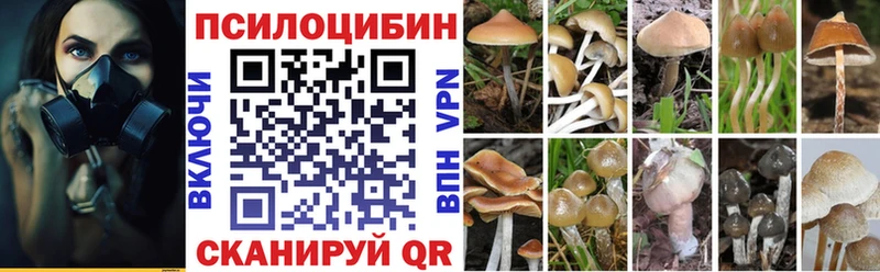 Галлюциногенные грибы Magic Shrooms маркетплейс наркотические препараты Красновишерск