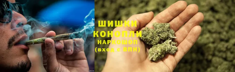 Конопля OG Kush  Красновишерск 